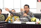 Elpisina: Perjalanan Politik dan Bisnis dari Jambi ke Senayan