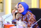 Sri Meliyana: Perjalanan Politik Sang Wakil Rakyat Sumsel II