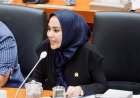 Ranny Fahd Arafiq: Perjalanan Politik Menuju Senayan