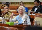 Lola Nelria Oktavia: Anggota DPR RI Periode 2024-2029, Fokus Penegakan Hukum