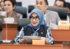 Imas Aan Ubudiah: Perjalanan Politik Perempuan PKB dari Garut ke Senayan