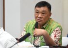 Rico Sia: Perjalanan Politik Sang Perwakilan Papua di Senayan
