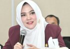 Sarifah Ainun Jariyah: Dari DPRD ke Senayan, Perjuangan Politik yang Berlanjut