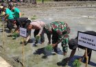 Babinsa Koramil Bonggo Dukung Program Cetak Sawah Rakyat