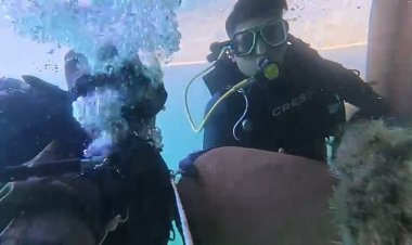 KRI Alamang-644 Berhasil Melaksanakan Penyelamatan Terhadap TB. YANG VITI VI & TK. TOTO I