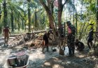 TNI AD Rampungkan Perehapan Jembatan Gantung Desa Empus, Bukti Nyata Pengabdian untuk Rakyat